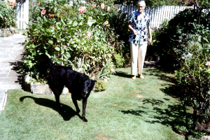 1976.4 Sammy and Aunt Annie