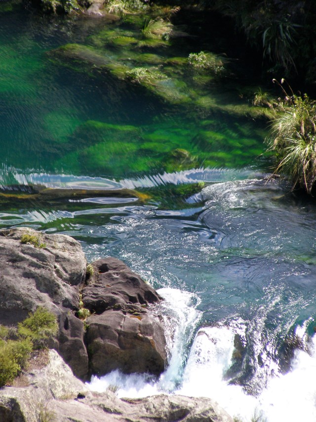 © irene waters 2015