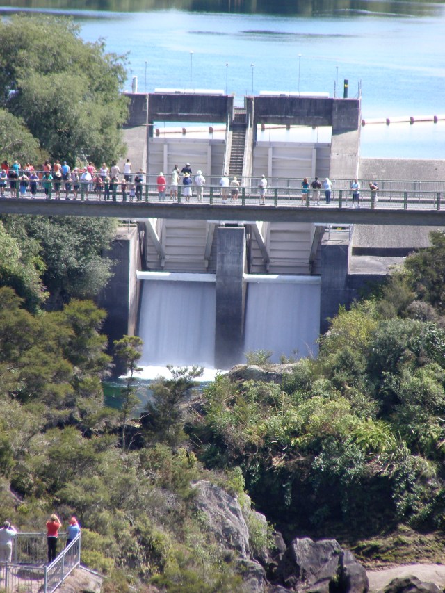 © irene waters 2015