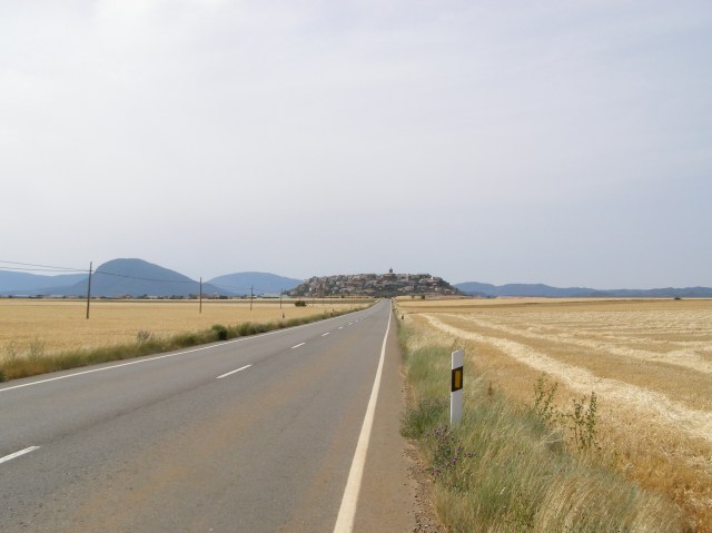 © irene waters 2015