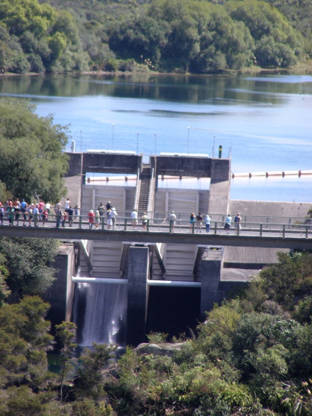 © irene waters 2015