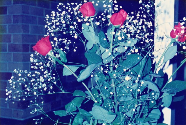 © irene waters 2015