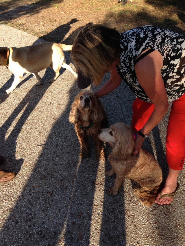 © irene waters 2015