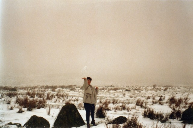 © irene waters 2014