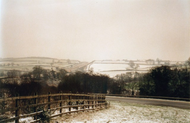 © irene waters 2015