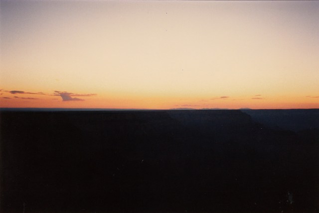 © irene waters 2014