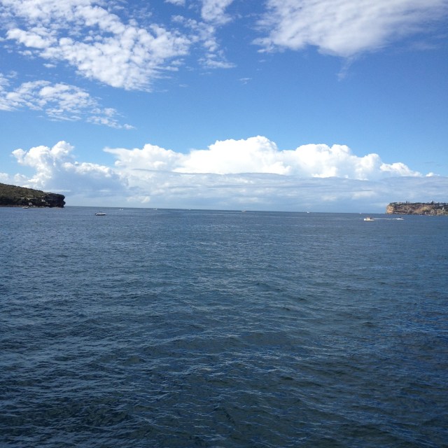 © irene waters 2015