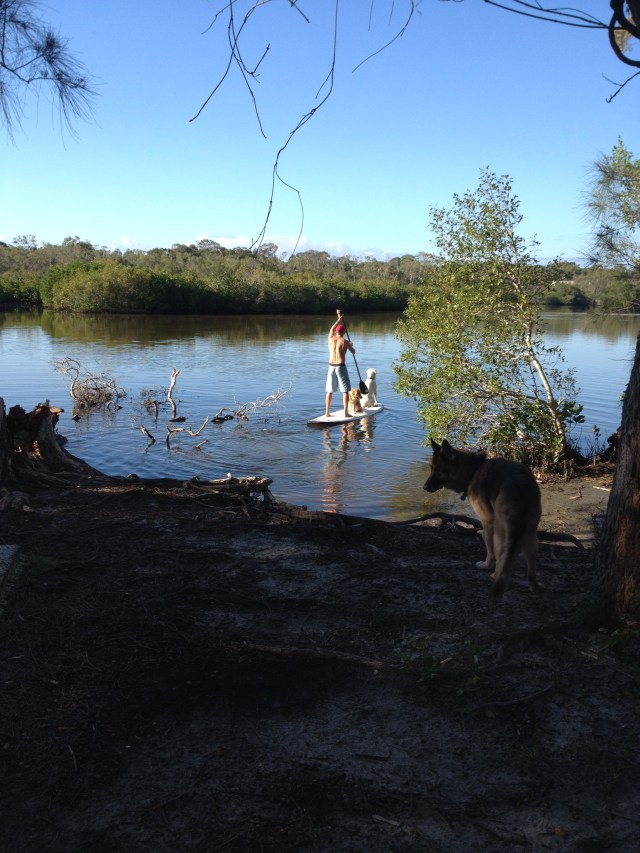 © irene waters 2015