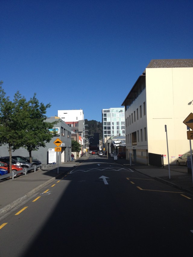 © irene waters 2015