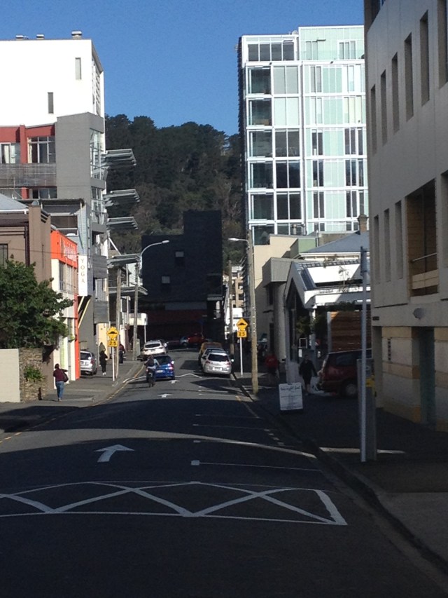 © irene waters 2015