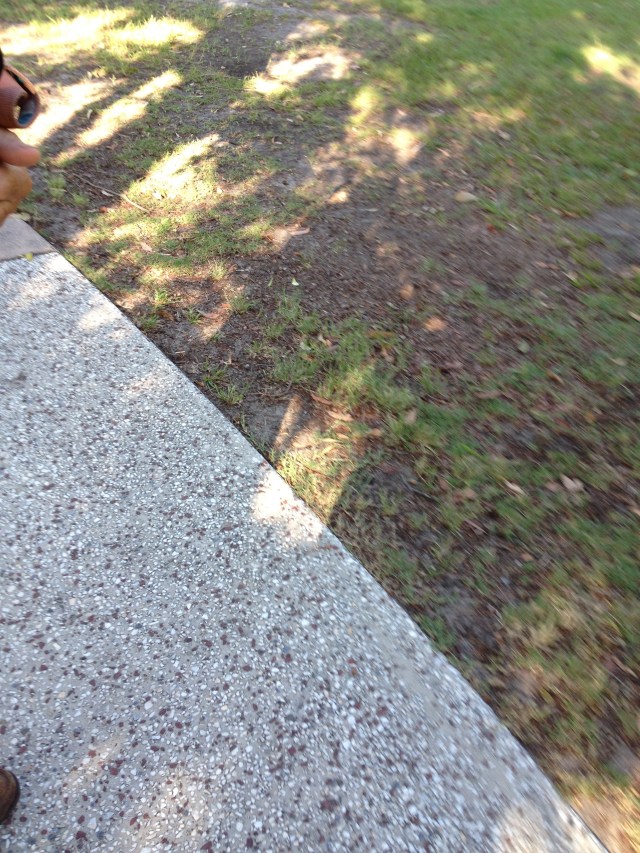 © irene waters 2015