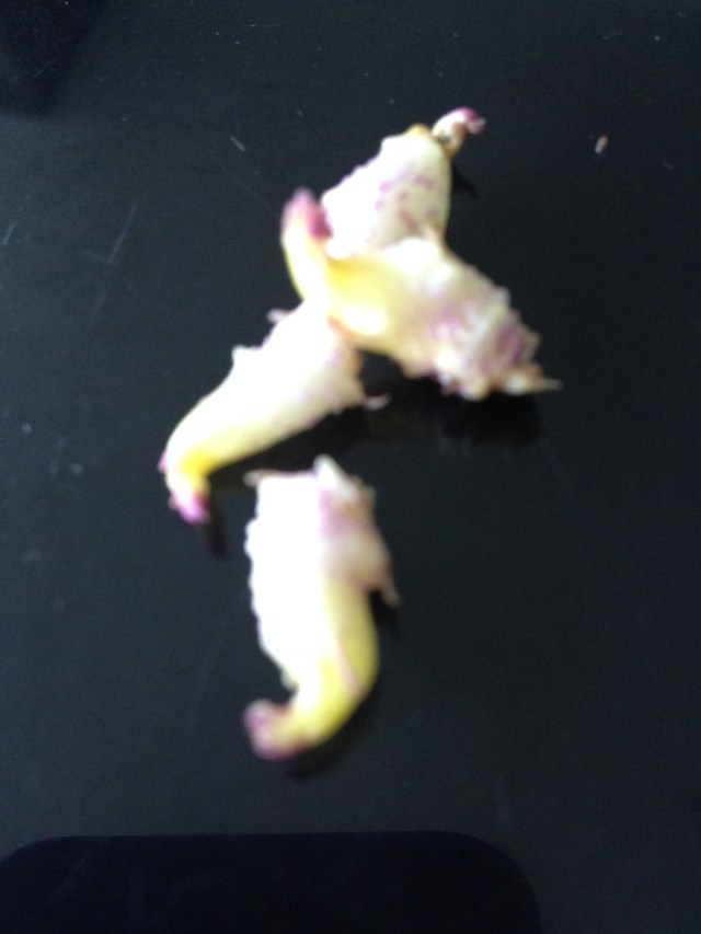 © irene waters 2015