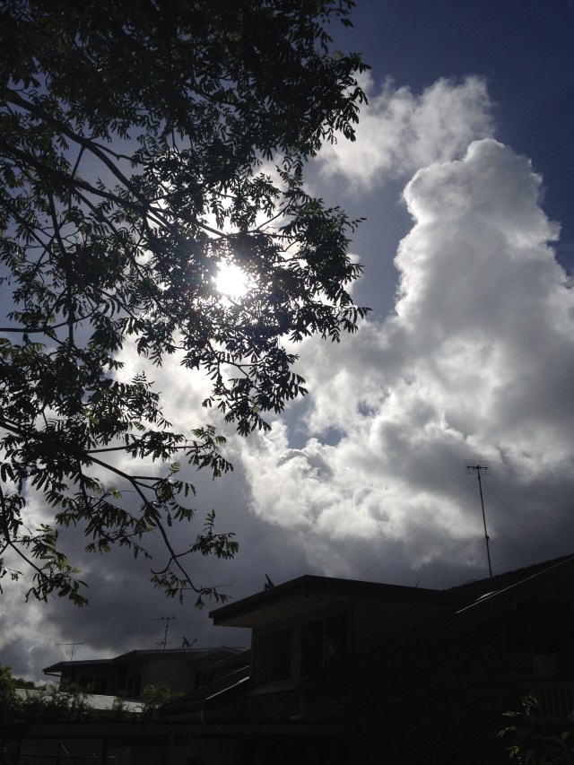 © irene waters 2015