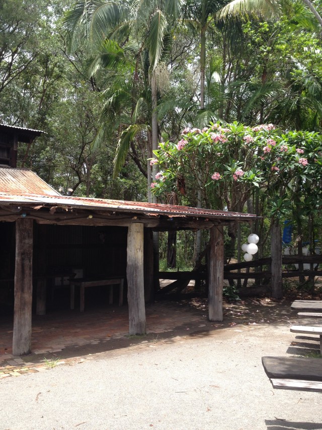 © irene waters 2015