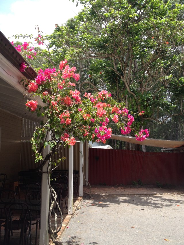 © irene waters 2015