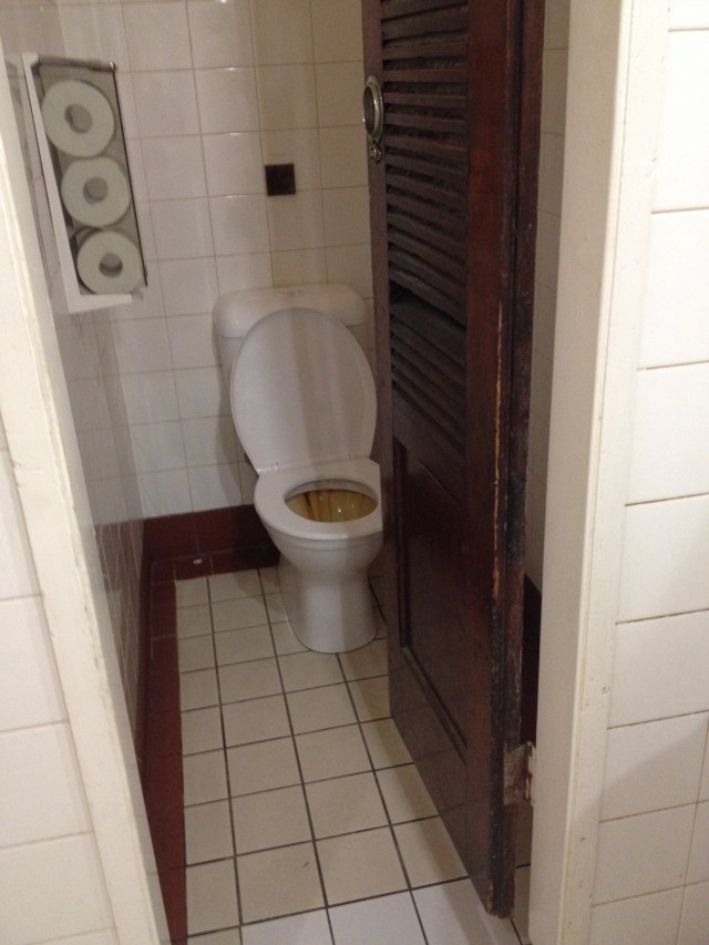 © irene waters 2015