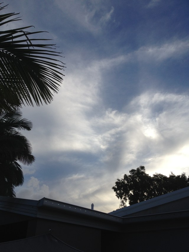 © irene waters 2015