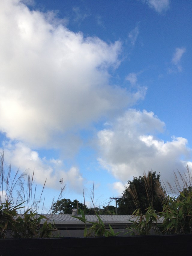 © irene waters 2015