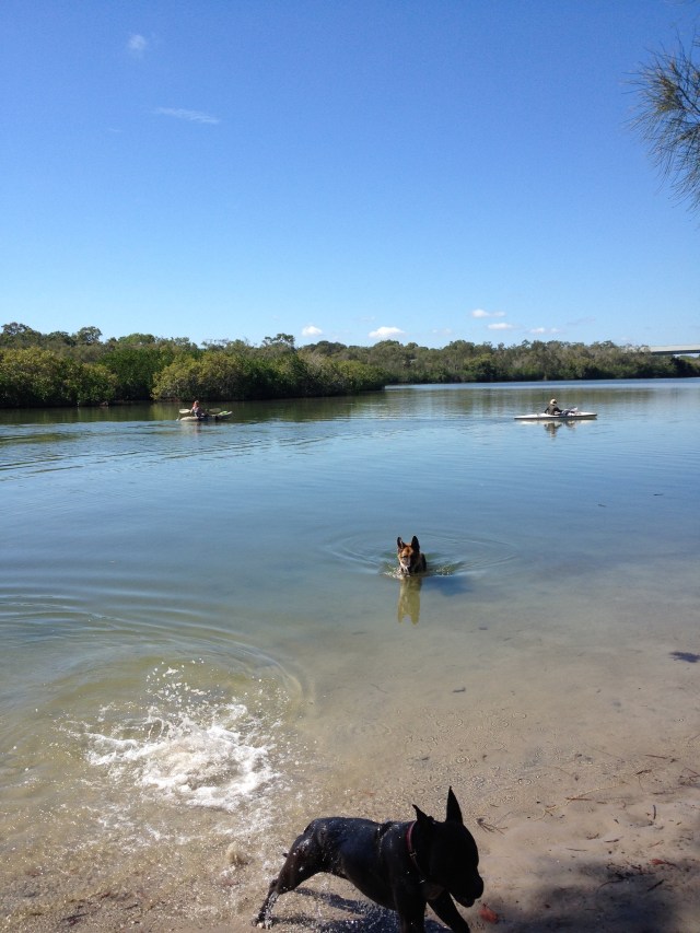 © irene waters 2015