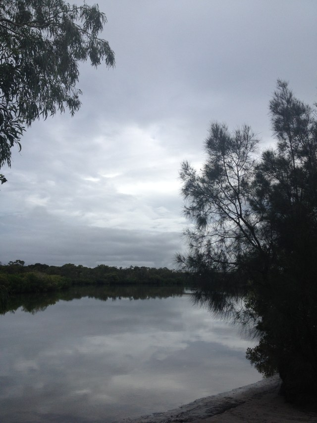 © irene waters 2015