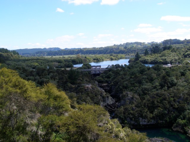 © irene waters 2015