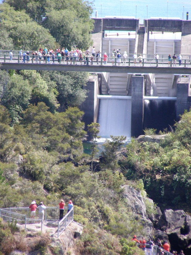 © irene waters 2015