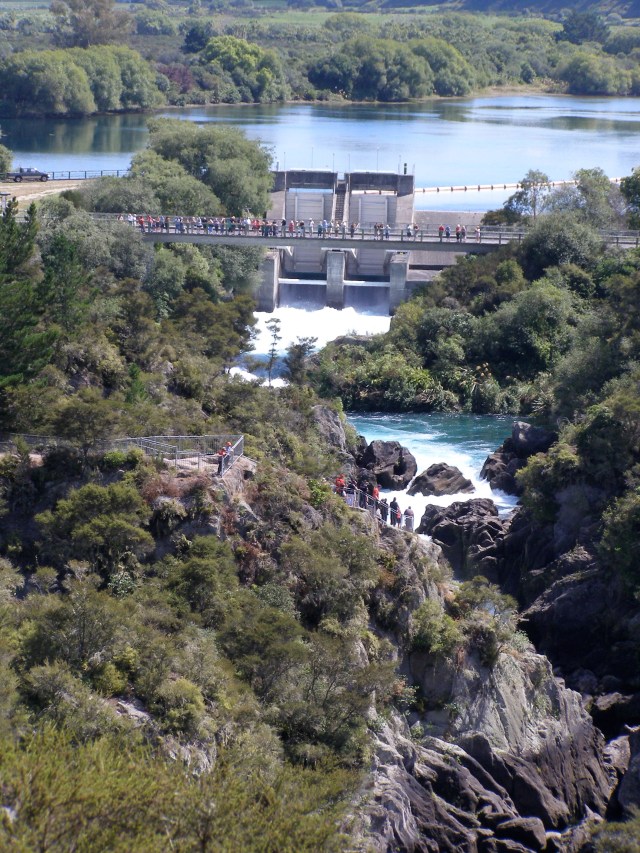 © irene waters 2015