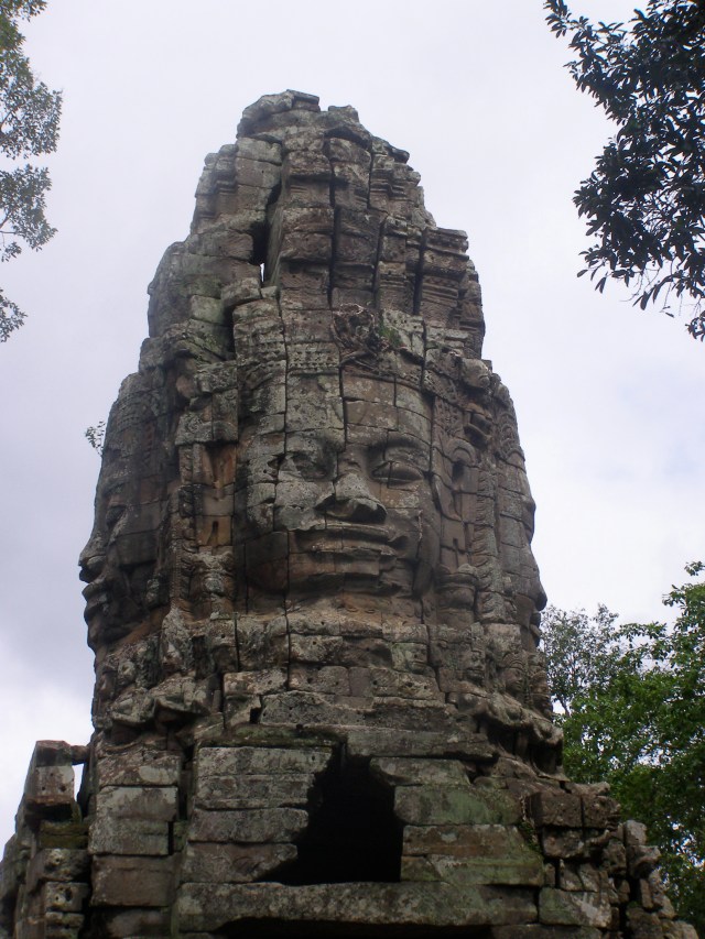 © irene waters 2015