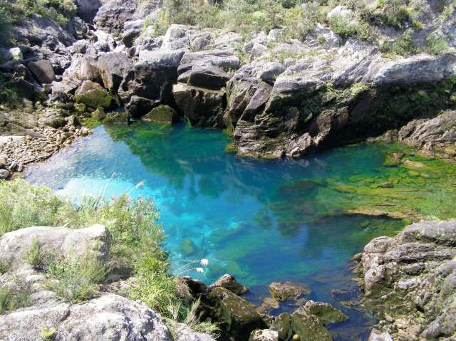 © irene waters 2015