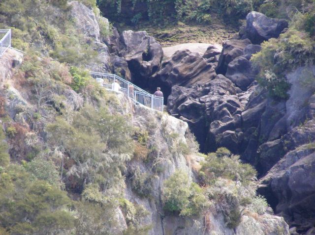 © irene waters 2015