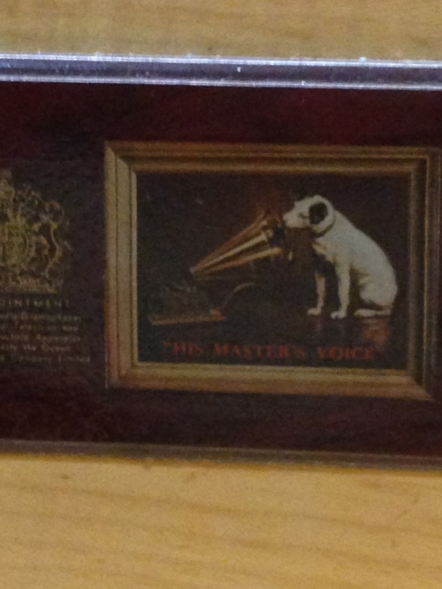 © irene waters 2015