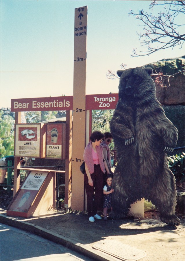 © irene waters 2015