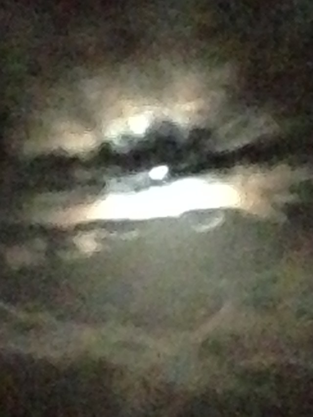 © irene waters 2015