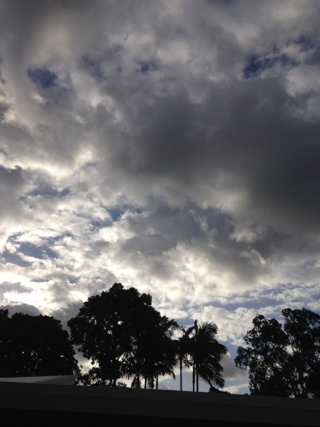 © irene waters 2015