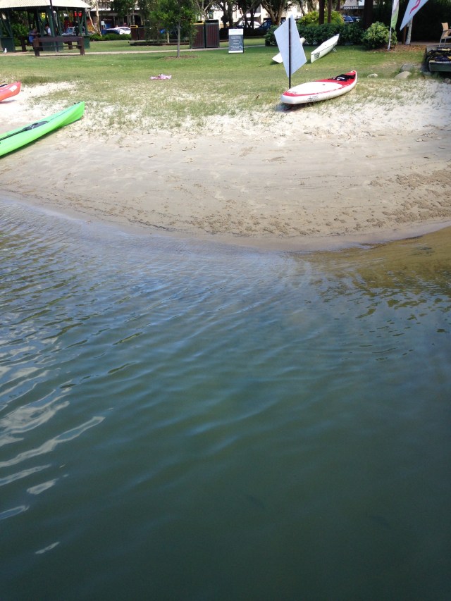 © irene waters 2015