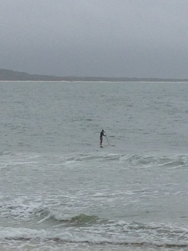 © irene waters 2015