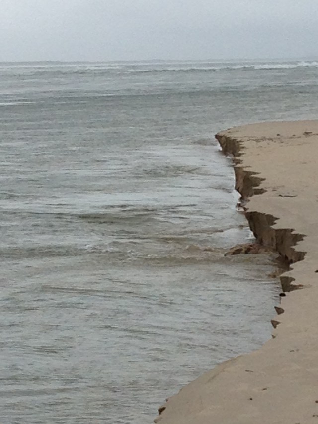 © irene waters 2015