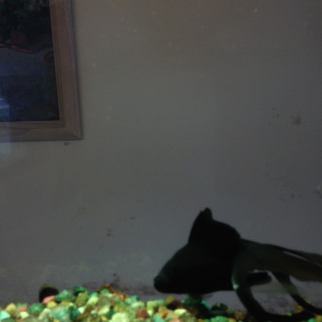 © irene waters 2015