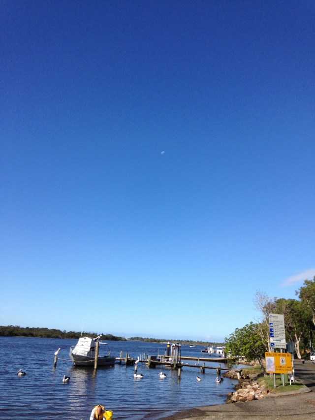 © irene waters 2015