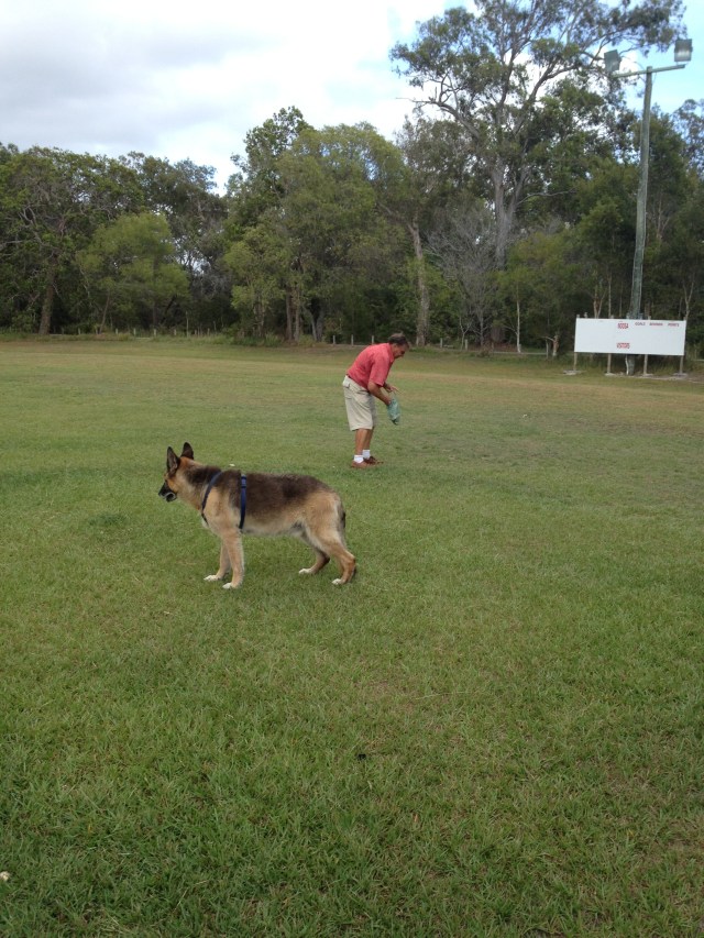 © irene waters 2015