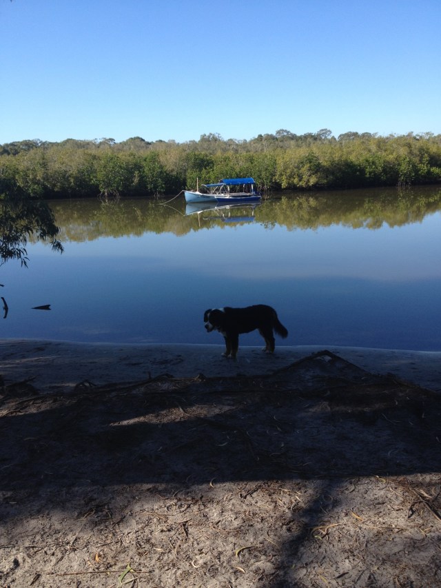 © irene waters 2015