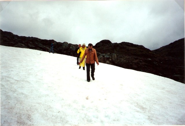 © irene waters 2015