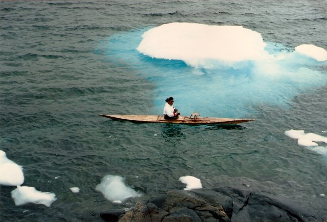 © irene waters 2015