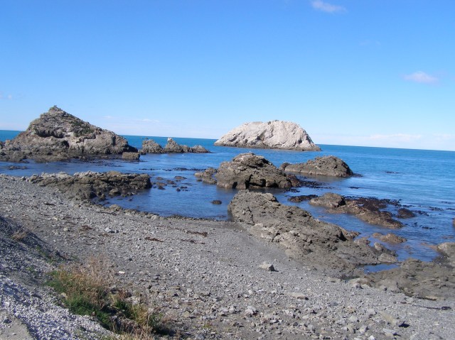 © irene waters 2015