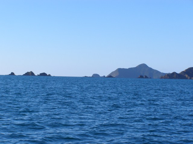 © irene waters 2015