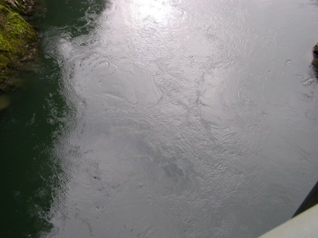 © irene waters 2015