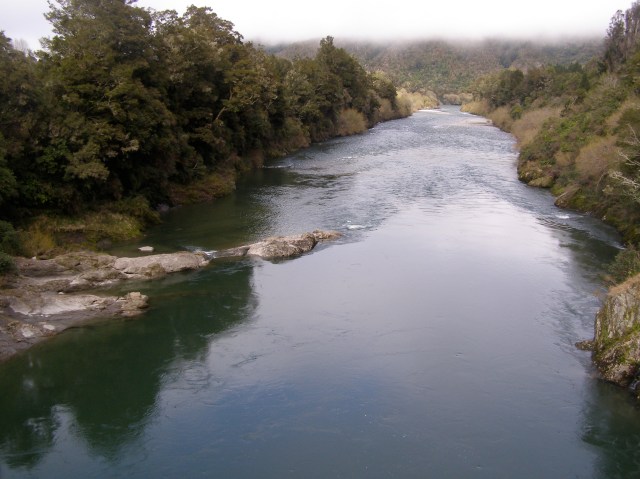 © irene waters 2015