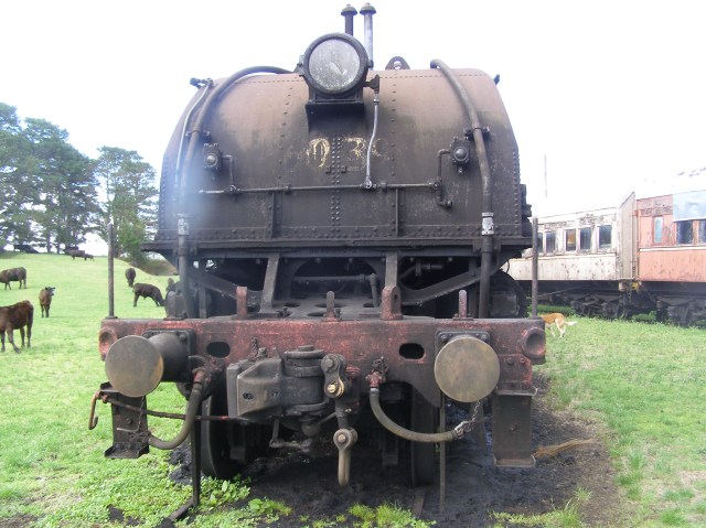 © irene waters 2015