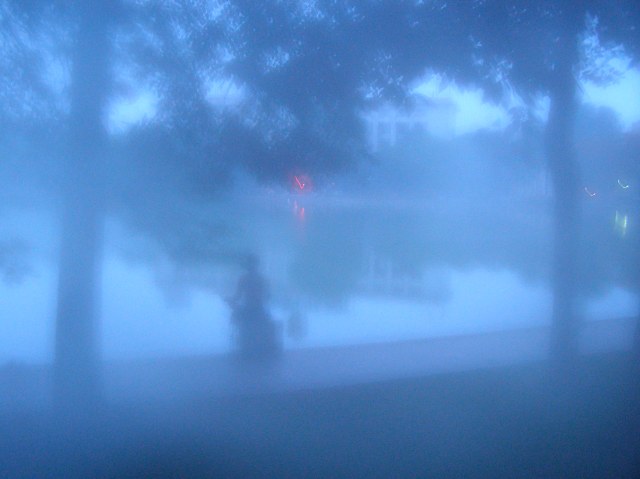 © irene waters 2015