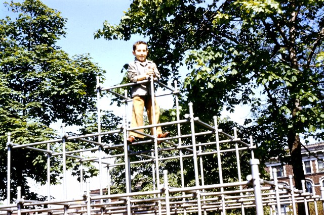 © irene waters 2015